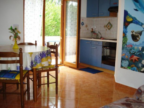 Apartments and Rooms Suzana